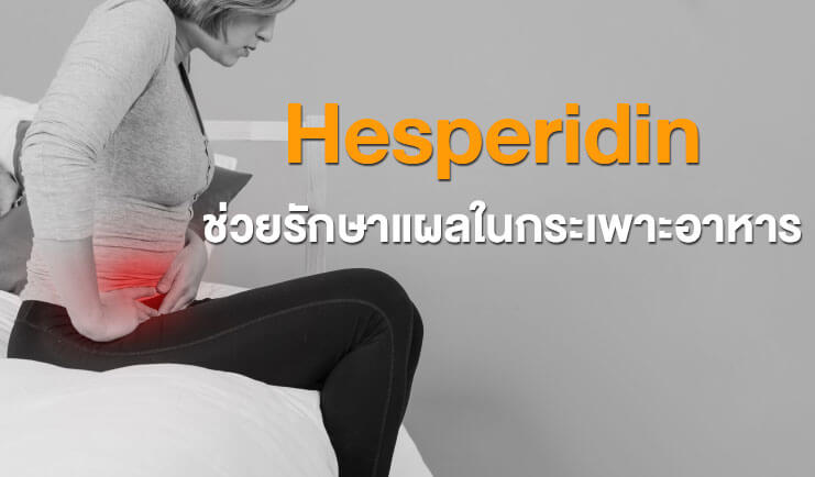 เฮสเพอริดิน ช่วยรักษาแผลในกระเพาะอาหารที่เกิดจากกรดอะซิติก