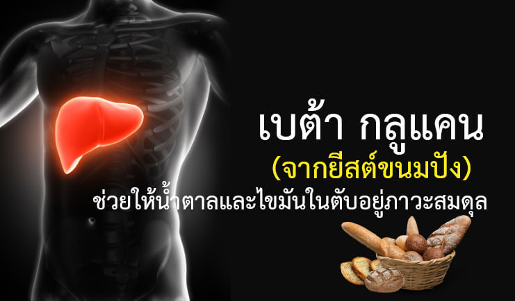 Beta-Glucan (เบต้ากลูแคน) ส่งเสริมภาวะสมดุลของน้ำตาลและไขมันในตับ