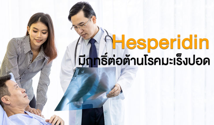 ฤทธิ์ของเฮสเพอริดิน (Hesperidin)