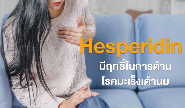 Hesperidin มีฤทธิ์ในการต้านโรคมะเร็งเต้านม