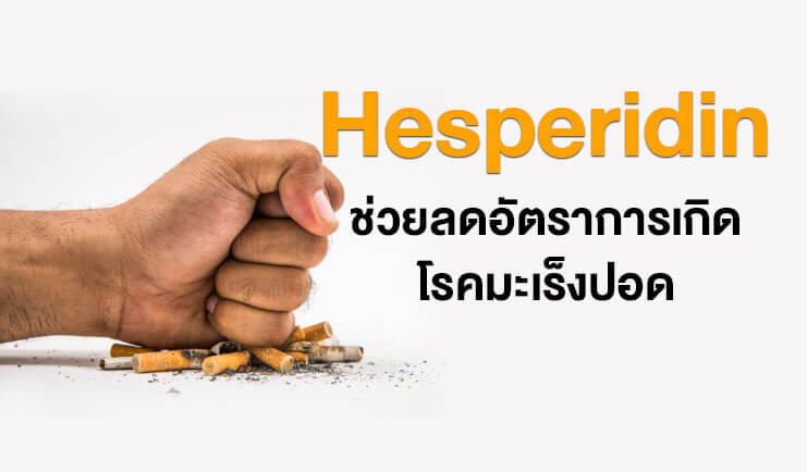 Hesperidin ช่วยลดอัตราการเกิดโรคมะเร็งปอด