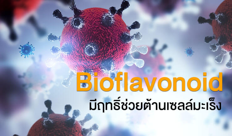 Bioflavonoid (ไบโอฟลาโวนอยด์) มีฤทธิ์ช่วยต้านเซลล์มะเร็ง