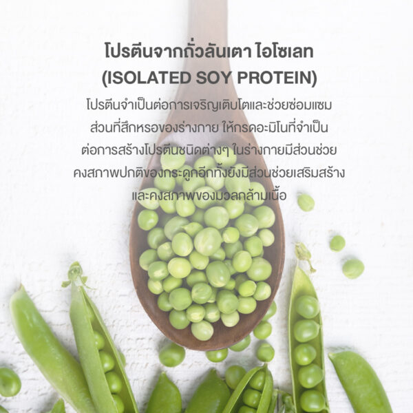 โปรตีนถั่วลันเตา พลัส วิตามินรวม โปรตีนพืช