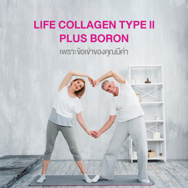 คอลลาเจนไทพ์ทู พลัส โบรอน Collagen Type II Plus Boron