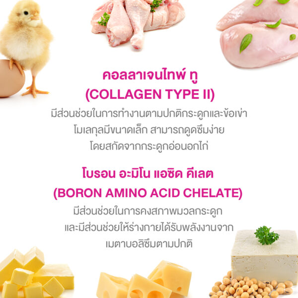 คอลลาเจนไทพ์ทู พลัส โบรอน Collagen Type II Plus Boron